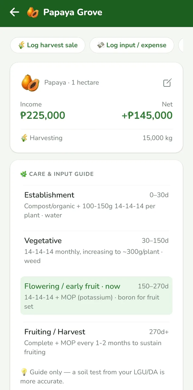 ANI Farm Manager โ income at net kita ng isang farm (Papaya, +โฑ145,000)