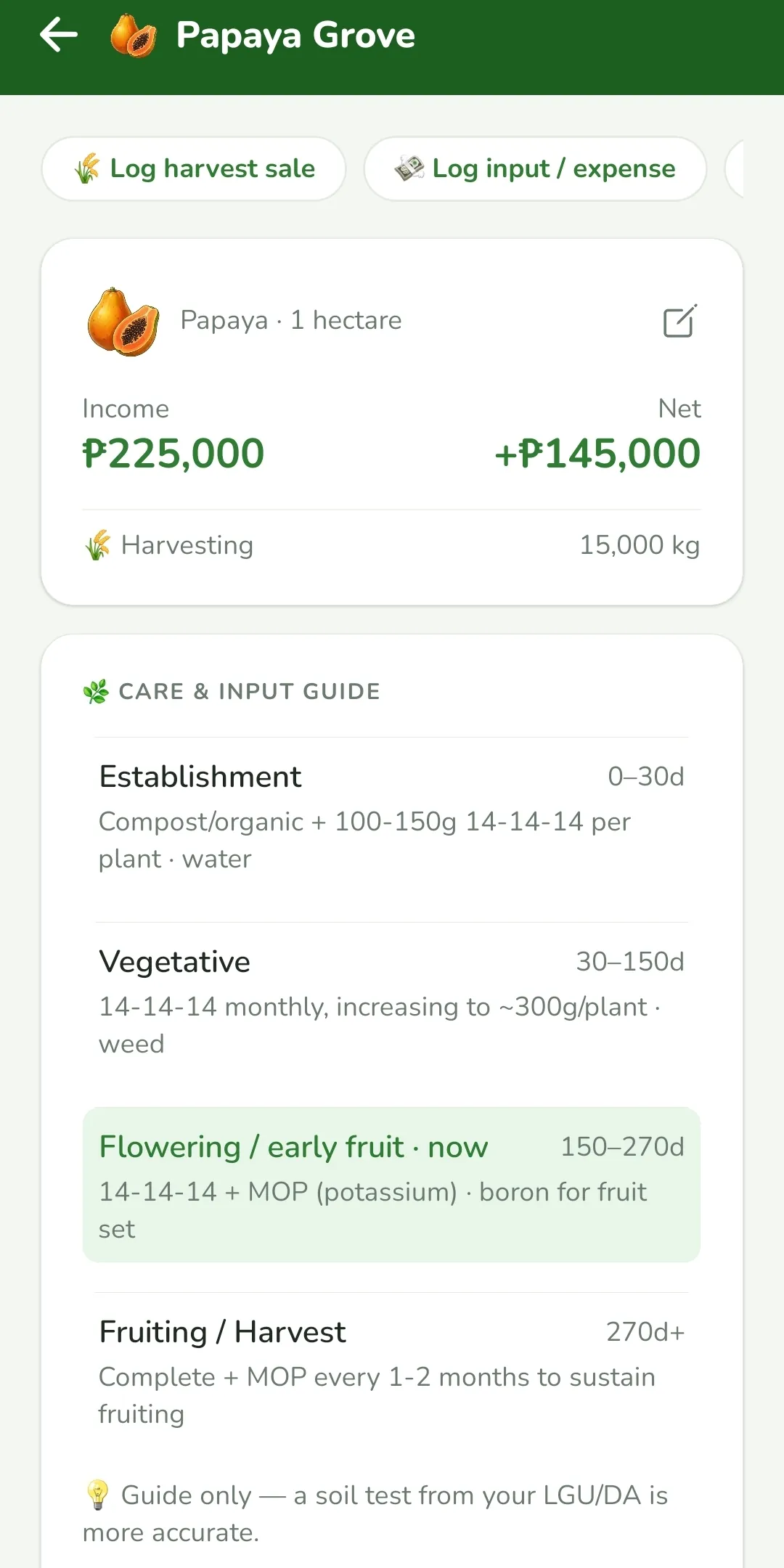 Papaya crop care guide at kita